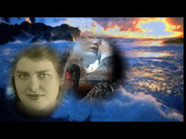 А жизнь моя  - Стихотворения Виктора Самброса