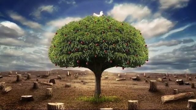 Relaxing Music for Studying?Музыка Релакс со Звуками Воды. Музыка для Сна. Музыка для Медитации смотреть онлайн
