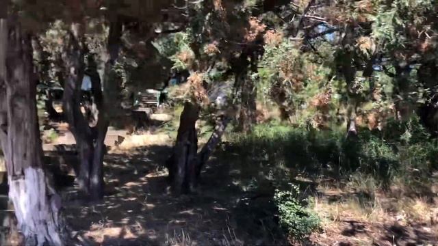 База «Голубая волна»: обзор-2,территория,домики, смотреть онлайн