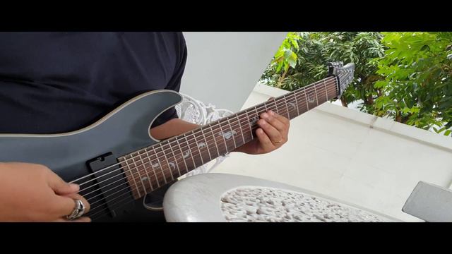 Schecter Damien Platinum 9 (Rhythm Guitar) смотреть онлайн