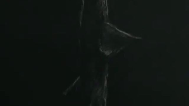 Klassisk Animation "Och att ett allt" Flöjt och Animation - M Olsson 1999 смотреть онлайн