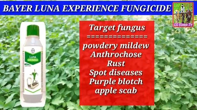 Luna Experience Fungicide | Fluopyram17.7+Tebuconazole 17.7 |luna Experience Price Dose Work Result
