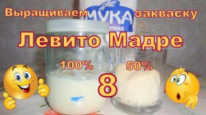 Закваска на винограде Левито Мадре. Часть 8. Мой эксперимент))