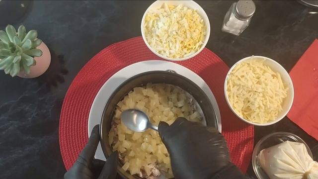 Домашние Животные и Их Уход