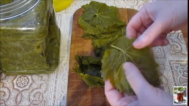 Долма в виноградных листьях / Yarpaq dolması Азербайджанская кухня / Azərbaycan mətbəxi смотреть онлайн