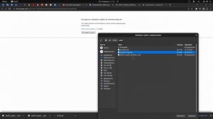 DaVinci Resolve не видит видео файлы, не добавляет,mp4 Linux