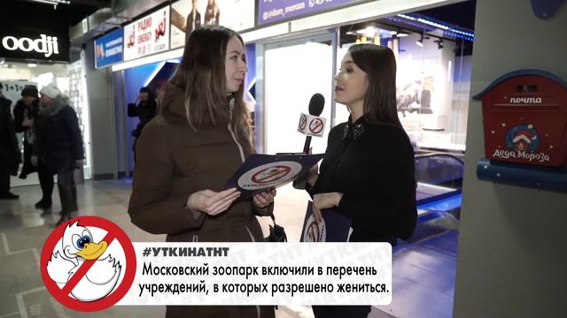 #Утки у-у-у-у! Самая популярная песня в России за 2017 год? смотреть онлайн