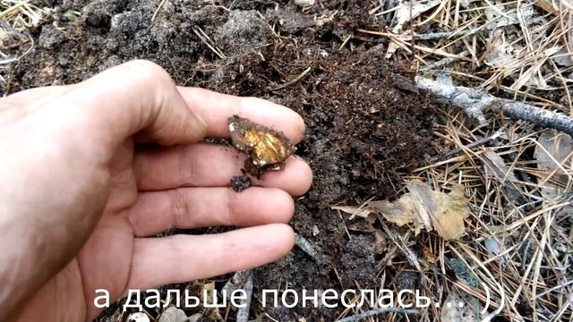 Зимний коп 2019. Вот это я накопался! Шмурдопад смотреть онлайн