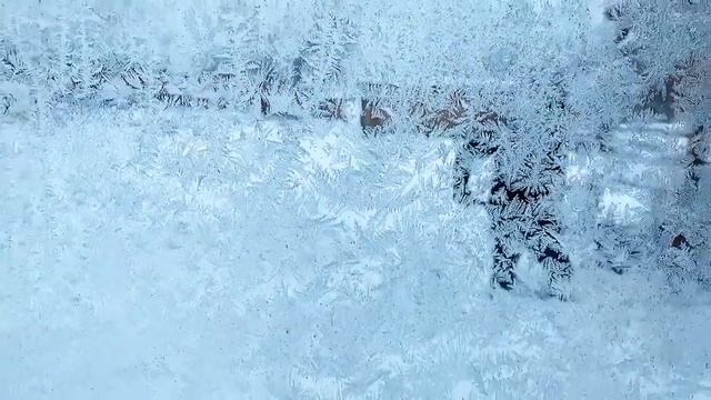 SUB) ОДИН ДЕНЬ ДОМОСЕДА?Кофе☕️ Пицца ?Уборка ковров ? Наша дача зимой❄️ смотреть онлайн