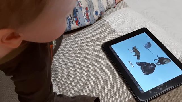 Изучение животных на планшете смотреть онлайн