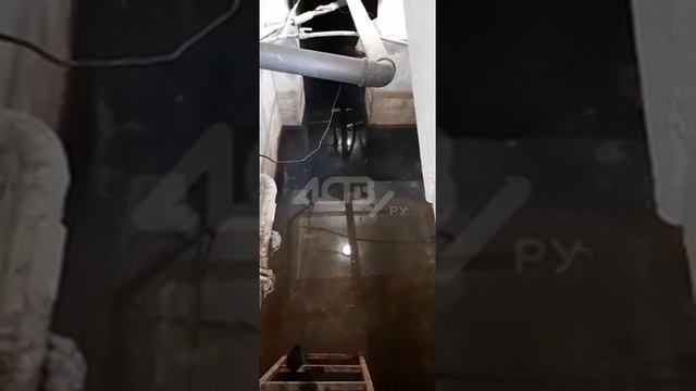 сахалинец рассказал, как грунтовые воды топят его дом с 1988 года смотреть онлайн