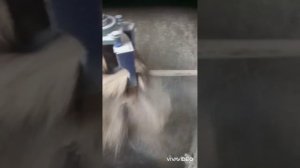 вертикальный смеситель кормов, кормосмеситель.