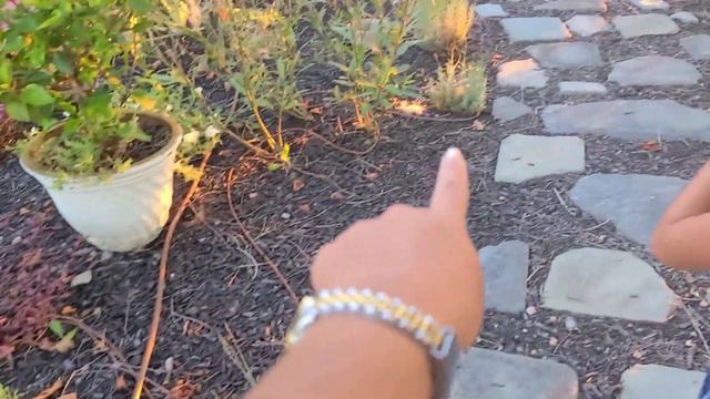 Last Front and side garden tour for the season! смотреть онлайн