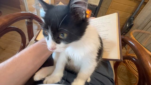 Доказательство души у животных смотреть онлайн