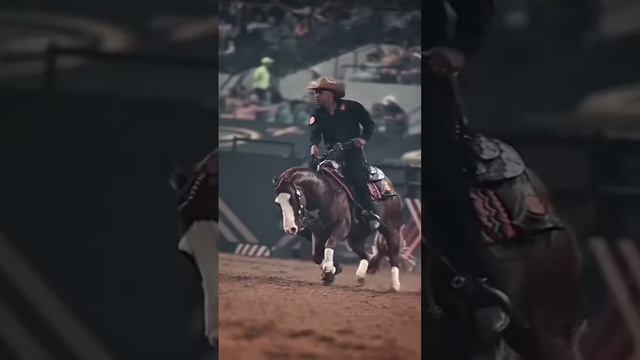 wow? #equestrian #horselover #horse #shortsvideo #вестерн #конныйспорт смотреть онлайн