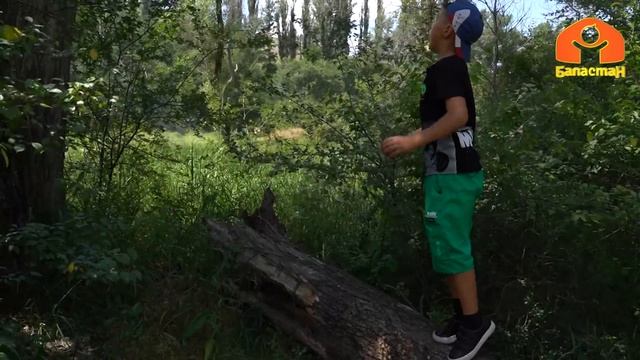 Таалимтай | Жаңы чыгарылыш 19.06.2022 смотреть онлайн