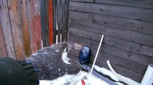 Бочка купель (фурако) своими руками через 2 года на улице , что с ней стало ?)