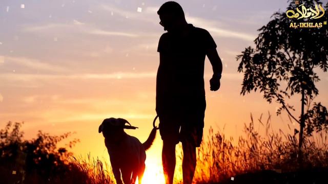 Что делать если прикоснулся к собаке, а затем пожелал совершить Намаз? Шейх ибн Баз раhuмаhyЛлаh смотреть онлайн