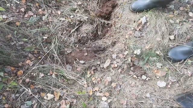 ГДЕ ИСКАТЬ МЕТАЛЛОЛОМ? КОП МЕТАЛЛОЛОМА В ЛЕСУ! . Прогулки с металлоискателем. Железные находки. смотреть онлайн