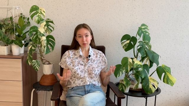 Монстера альба как сохранить вариегатность? Говорим о мифах, уходе и выборе смотреть онлайн