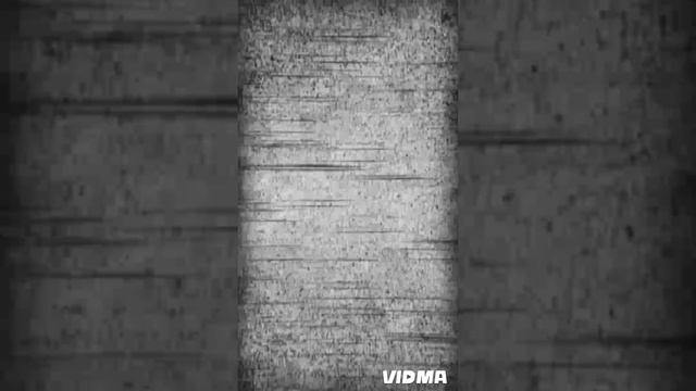 1000005540.mp4 смотреть онлайн