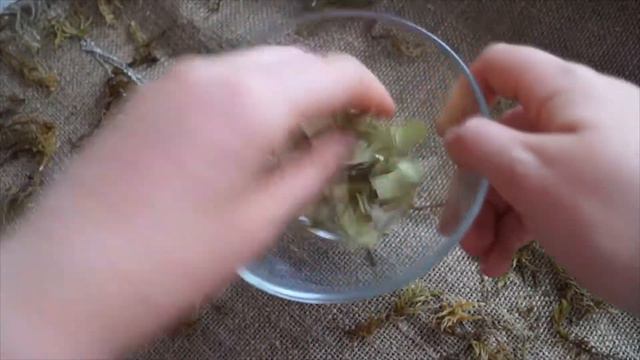 Розыгрыш медальона с суккулентами