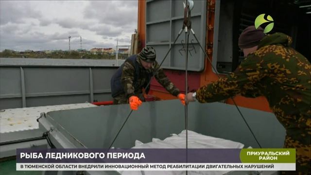 Морозильное судно «Полярная звезда» – в помощь приуральским рыбакам смотреть онлайн