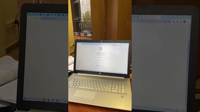 Розыгрыш поездки в Москву среди оптовых клиентов по акции "Золотая осень" смотреть онлайн