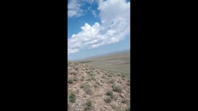 Ttz 100 NAVOIY смотреть онлайн