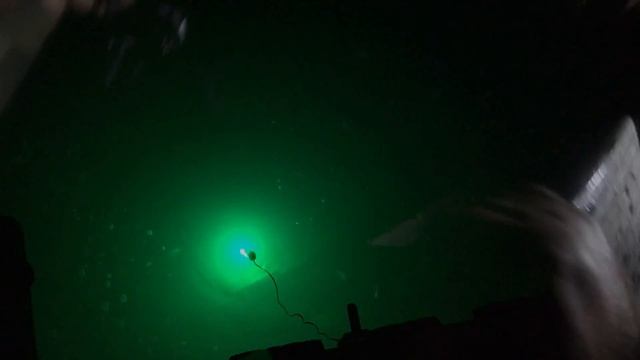 Ночная рыбалка! Ловим рыбу с помощью зелёной Лампы, Готовим стейки на природе!!! смотреть онлайн