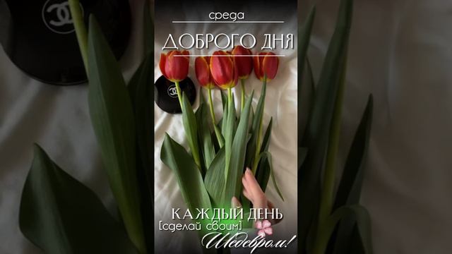 Доброе утро смотреть онлайн