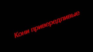 Кони привередливые (кавер, В.С. Высоцкий) / КонВерсиЯ