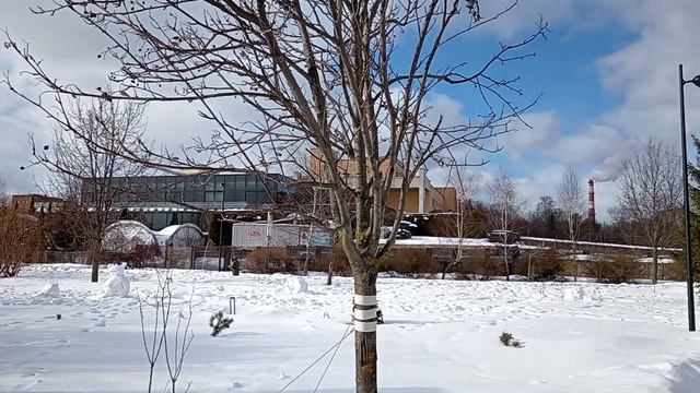 Honor X8a test video смотреть онлайн