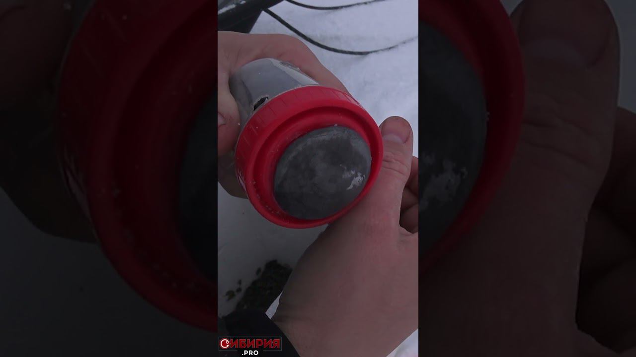 КОМБАЙН - СНАСТЬ ДЛЯ ЛЕНИВЫХ! НО ОЧЕНЬ УЛОВИСТАЯ #shorts #рыбалка #лещ #карась #щука #поплавок смотреть онлайн