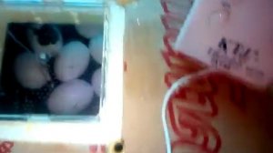 обзор инкубатора золушка на 100 яиц,или почему скачет температура