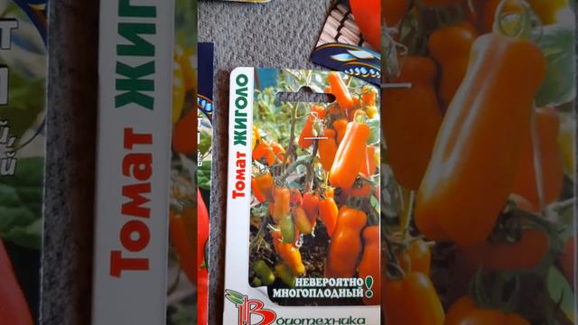 Выбираю скороспелку. Какие сорта лучше посадить в открытый грунт ! смотреть онлайн