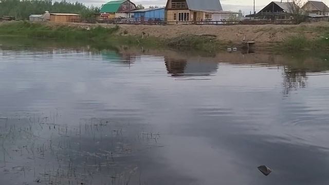 Зеркало с перьями смотреть онлайн