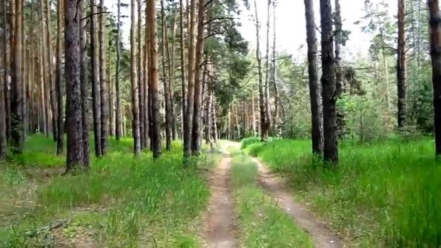 Красивая музыка Слушать музыку для души Удивительная музыка Природа под музыку Музыка для сна смотреть онлайн