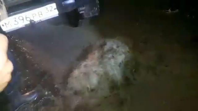 Суземский беспридел династии Кучановых(4) смотреть онлайн