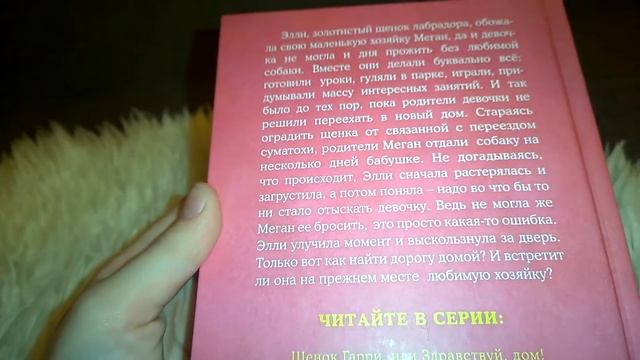 Книг Холли Вебб ".Щенок Элли или долгая дорога домой." смотреть онлайн