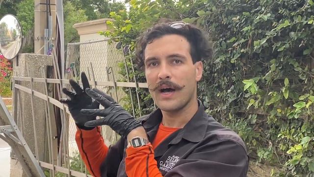 Air Layering Propagation Demonstration смотреть онлайн