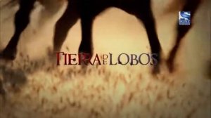 Bo'rilar zamini 8.9.10.11.12.13-qismlar | Земля волков 8.9.10.11.12.13-серия | HD  🔞 #2-сезон #oxir