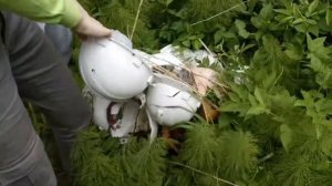 Угарный влог | 󾠰 заброшки| смешные падения