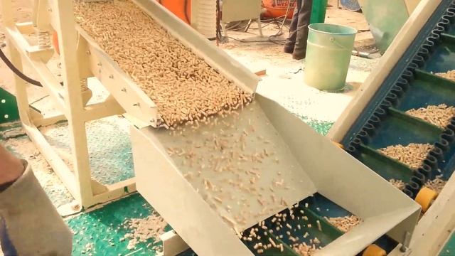 Линия гранулирования древесных отходов (опил, щепа) производительностью 1200 кг/час.