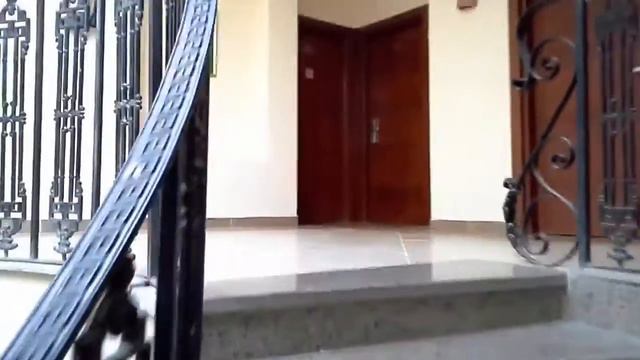 Tropicana Azure Club 4*. Шарм Эль Шейх. Территория отеля смотреть онлайн