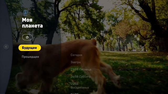 Билайн ТВ | Гид по ТВ-программе и просмотру смотреть онлайн