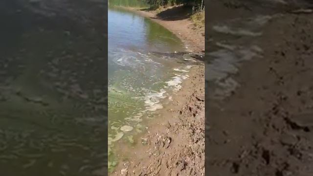 рыбалка бреднем пойма смотреть онлайн