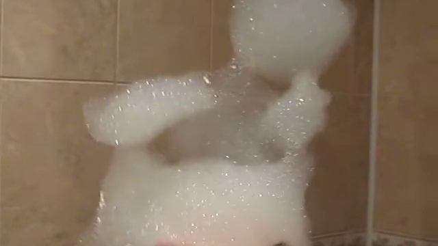 зверушки из пены смотреть онлайн