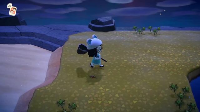 Animal Crossing: New Horizons - How to Make Your Own Spider Island | Tarantula Farming - November смотреть онлайн