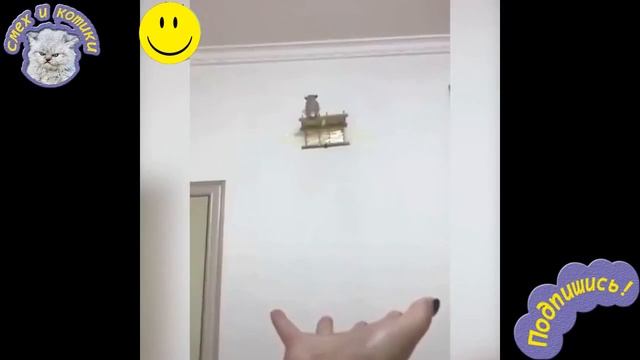 Ручная белка летяга смотреть онлайн